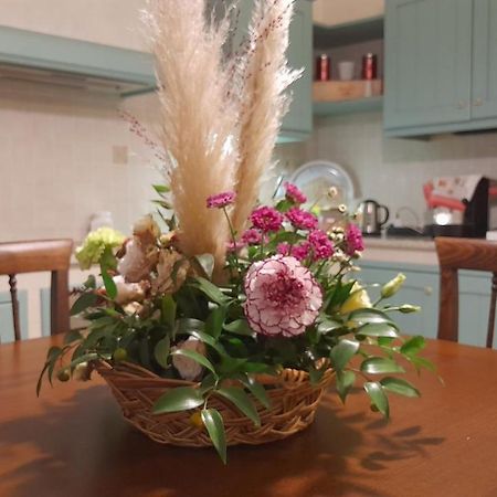 סוזארה B&B Residence Il Ciliegio , Via Villa Superiore 93 Luzzara מראה חיצוני תמונה