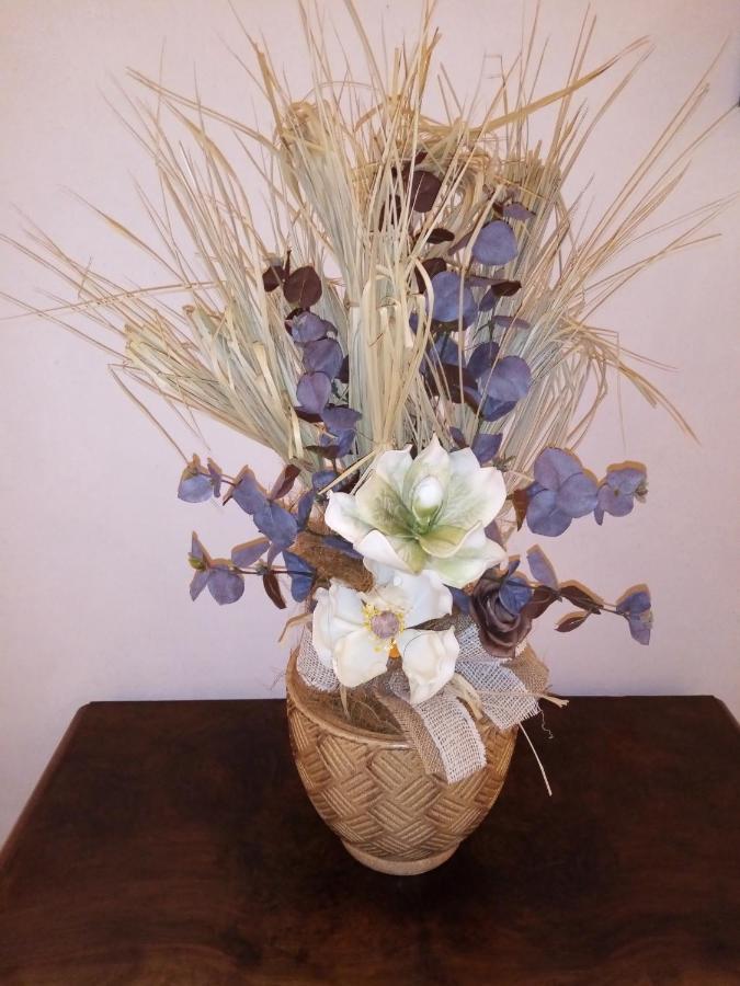 סוזארה B&B Residence Il Ciliegio , Via Villa Superiore 93 Luzzara מראה חיצוני תמונה