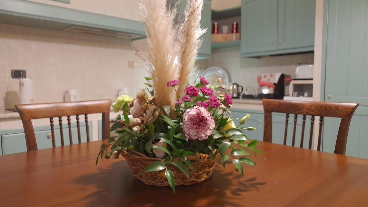 סוזארה B&B Residence Il Ciliegio , Via Villa Superiore 93 Luzzara מראה חיצוני תמונה